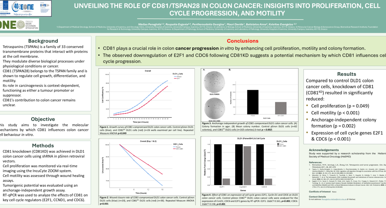 UNVEILING THE ROLE OF CD81/TSPAN28 IN COLON CANCER: INSIGHTS INTO PROLIFERATION, CELL CYCLE PROGRESSION, AND MOTILITY